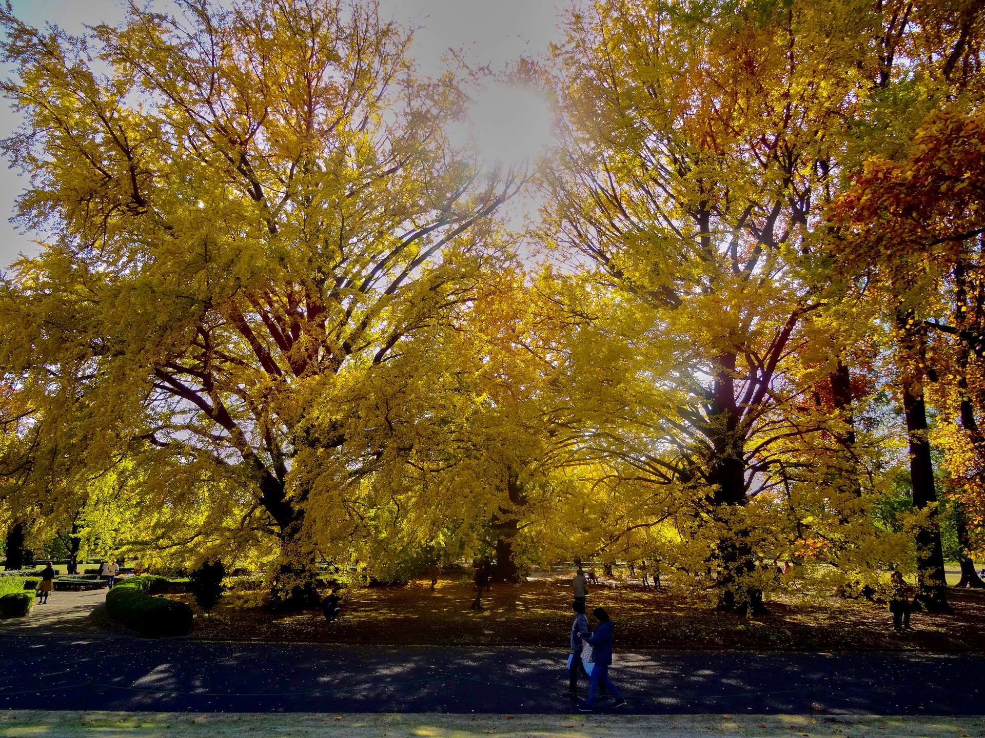 JAPAN-2016-08-037 JAPAN-2016-08-037