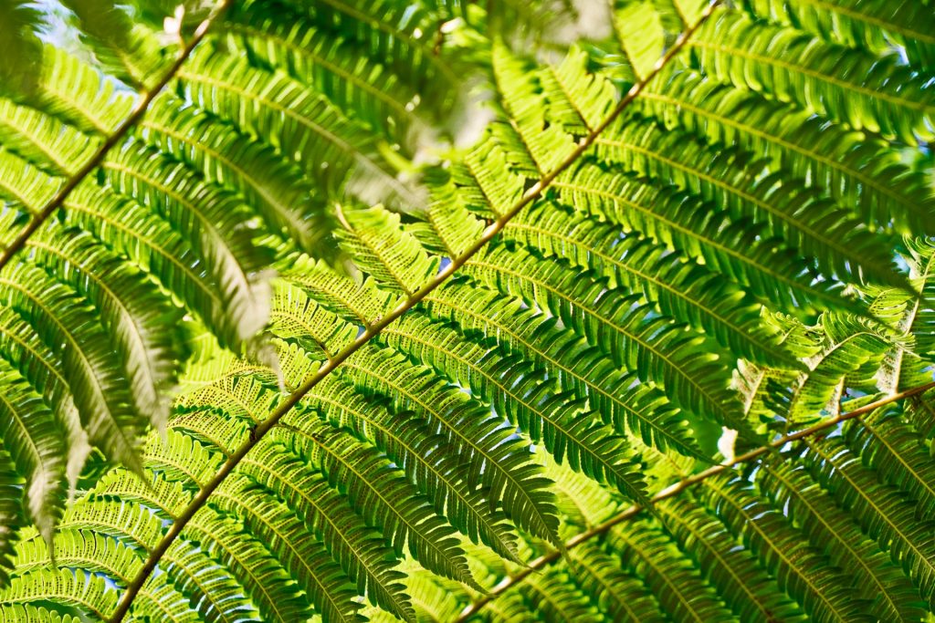 JAPAN-2016-08-047 JAPAN-2016-08-047