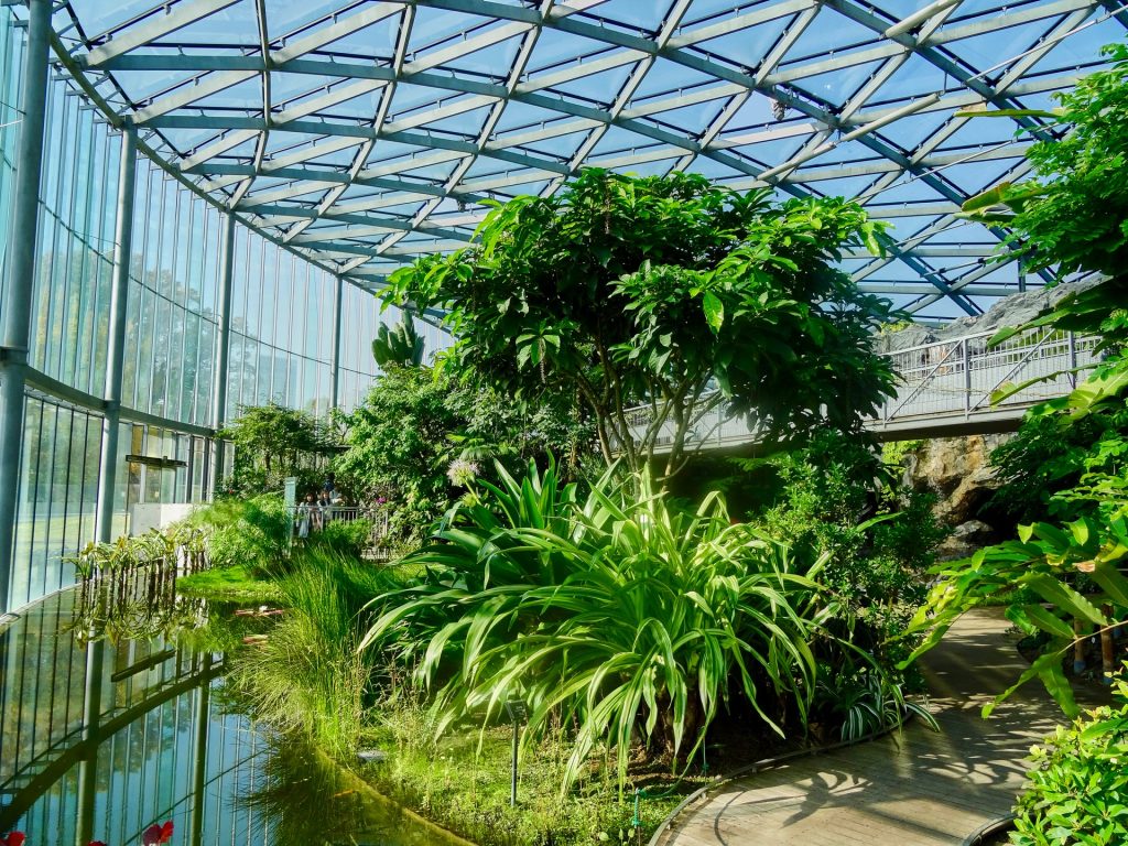 JAPAN-2016-08-049 JAPAN-2016-08-049