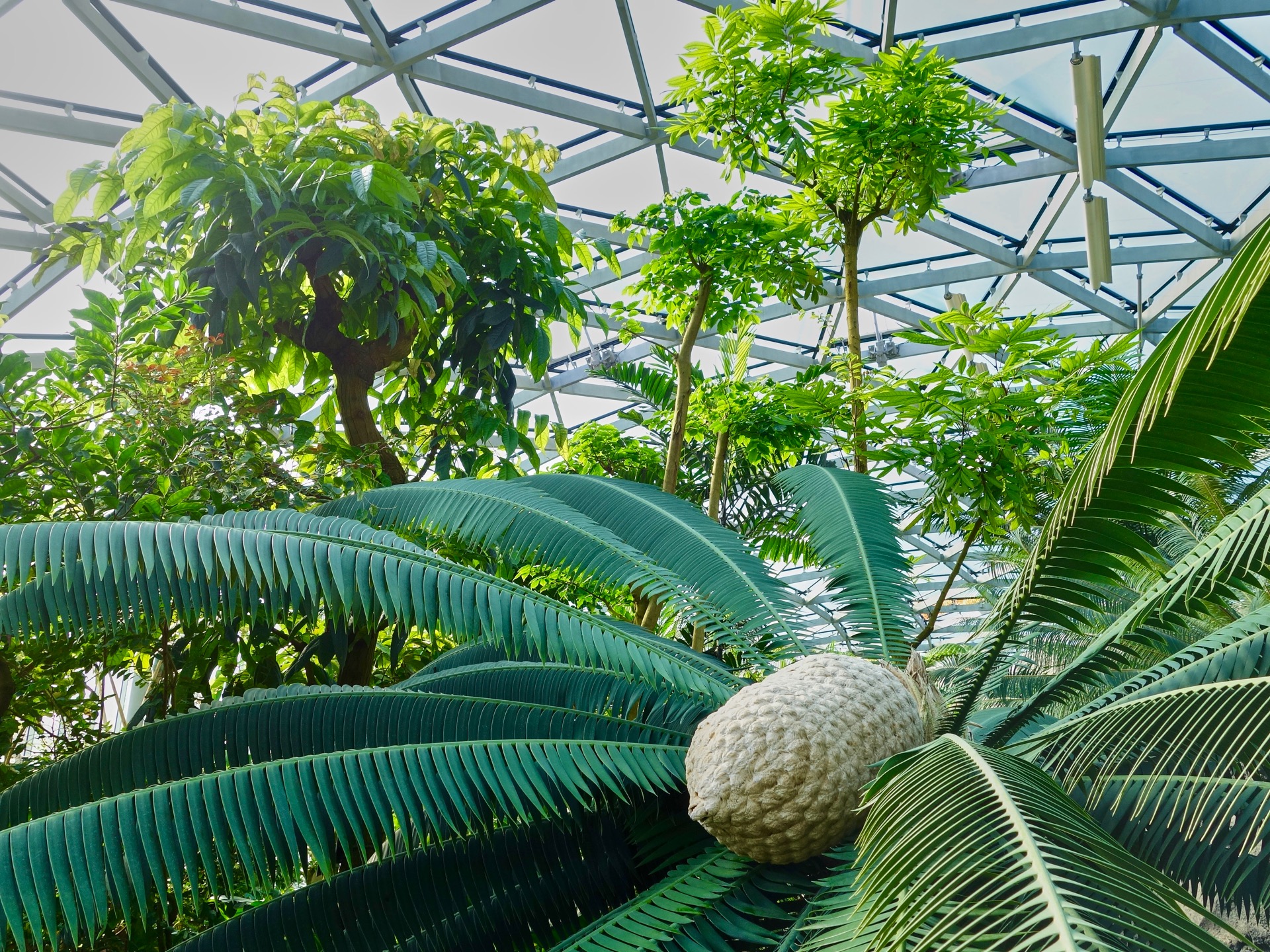 JAPAN-2016-08-050 JAPAN-2016-08-050