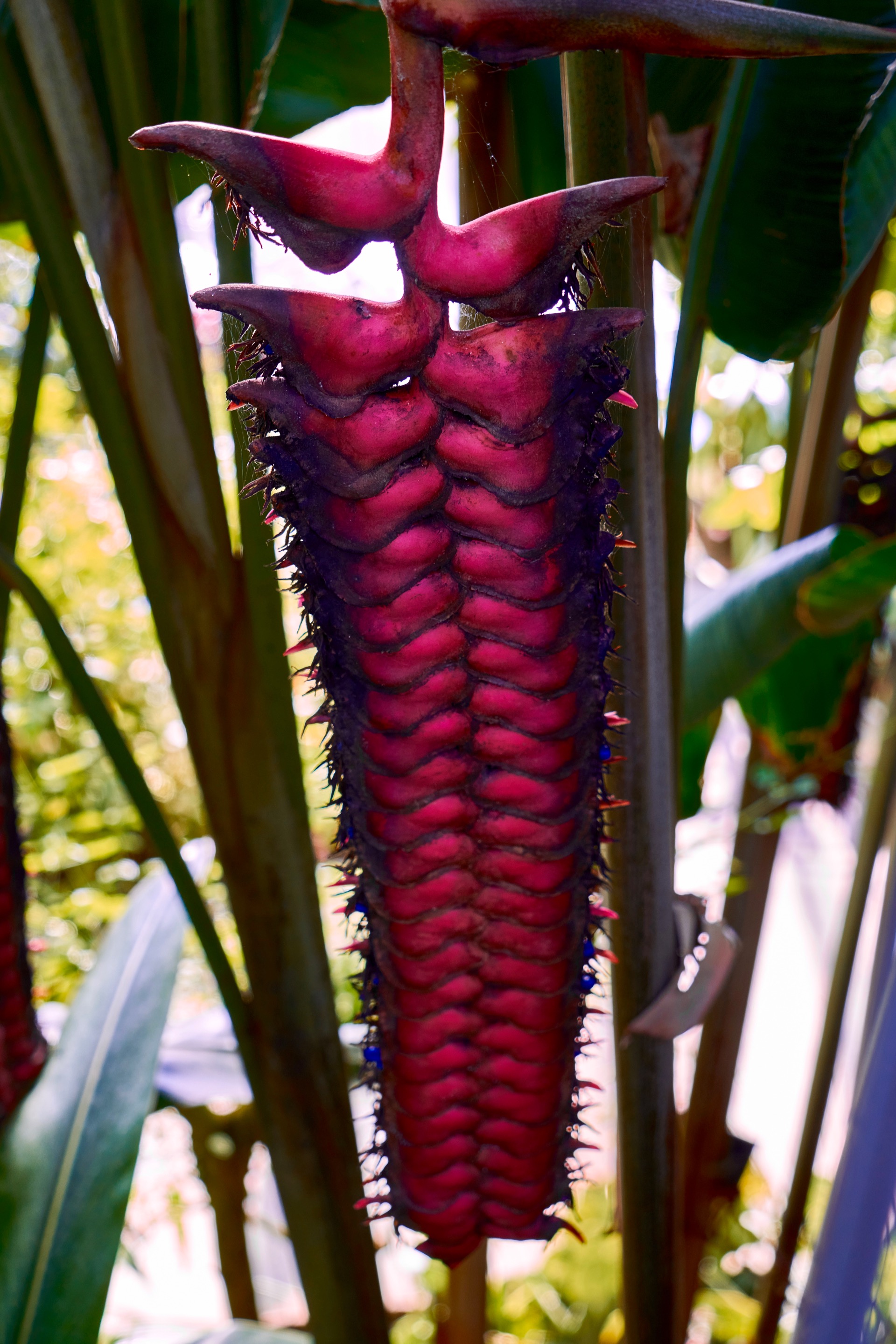 JAPAN-2016-08-051 JAPAN-2016-08-051