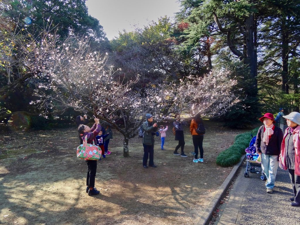 JAPAN-2016-08-067 JAPAN-2016-08-067