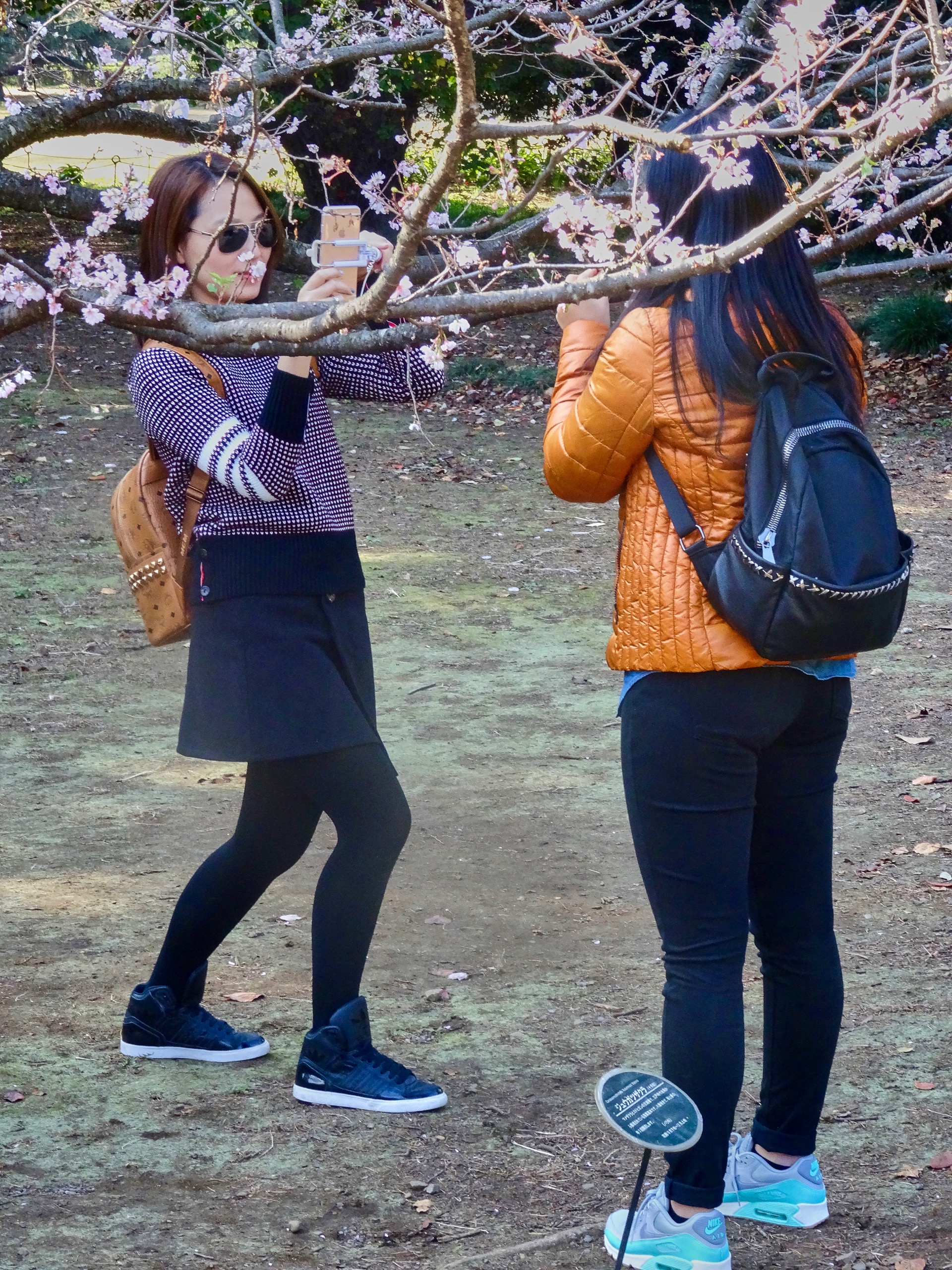 JAPAN-2016-08-068 JAPAN-2016-08-068