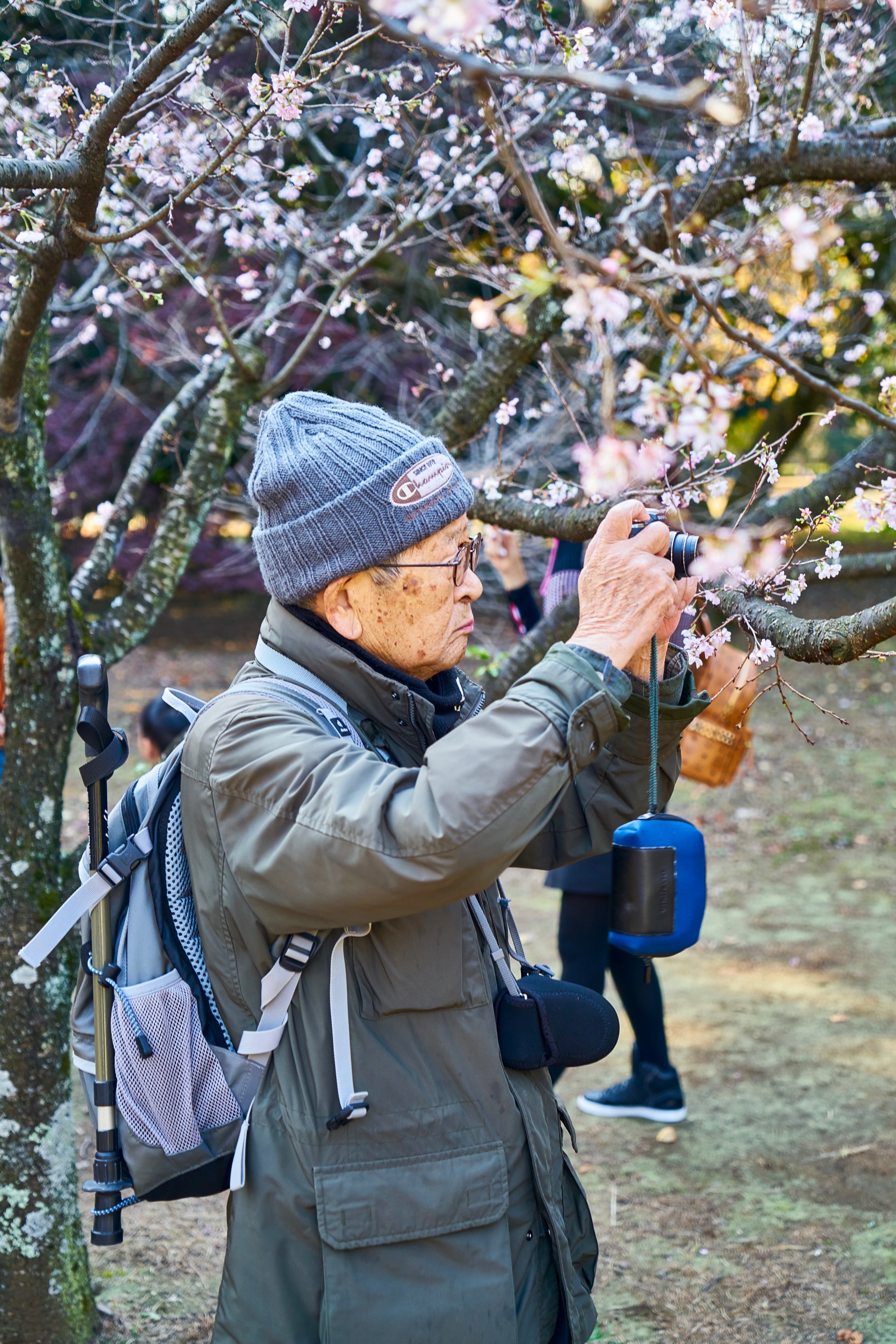 JAPAN-2016-08-069 JAPAN-2016-08-069