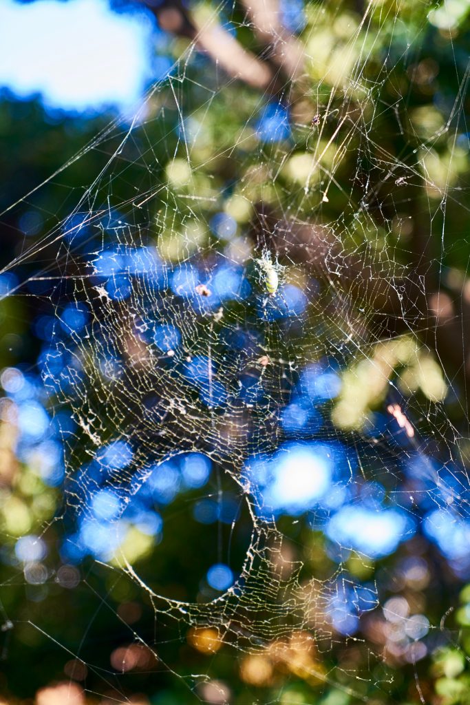 JAPAN-2016-08-073 JAPAN-2016-08-073