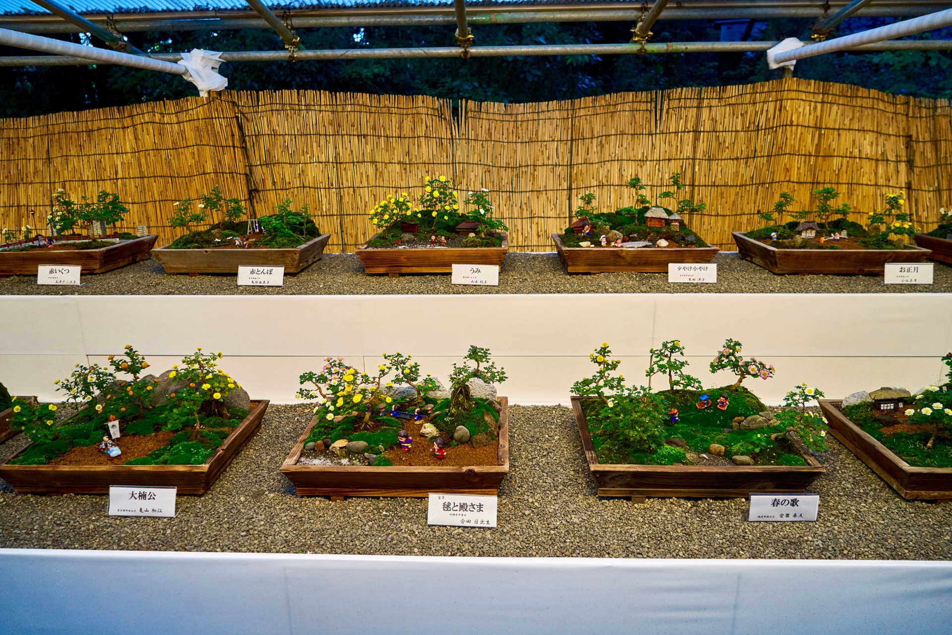 JAPAN-2016-08-104 JAPAN-2016-08-104