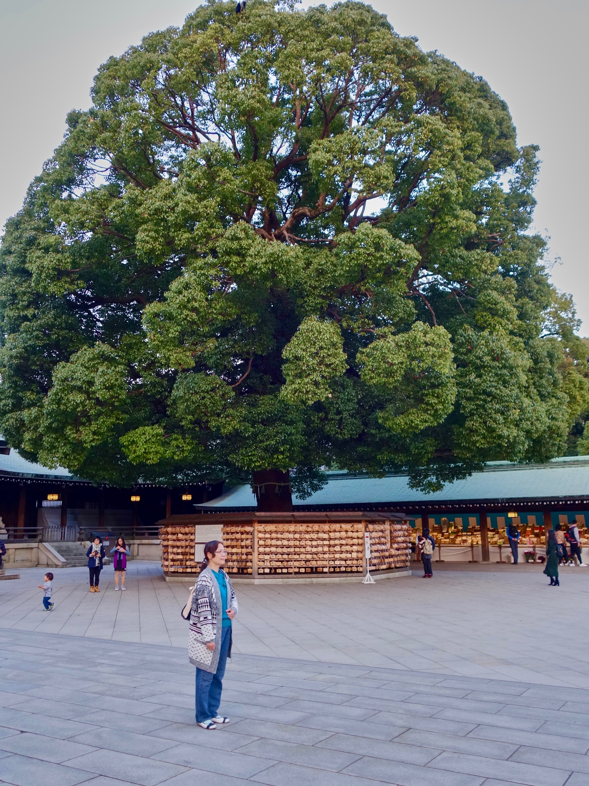 JAPAN-2016-08-105 JAPAN-2016-08-105