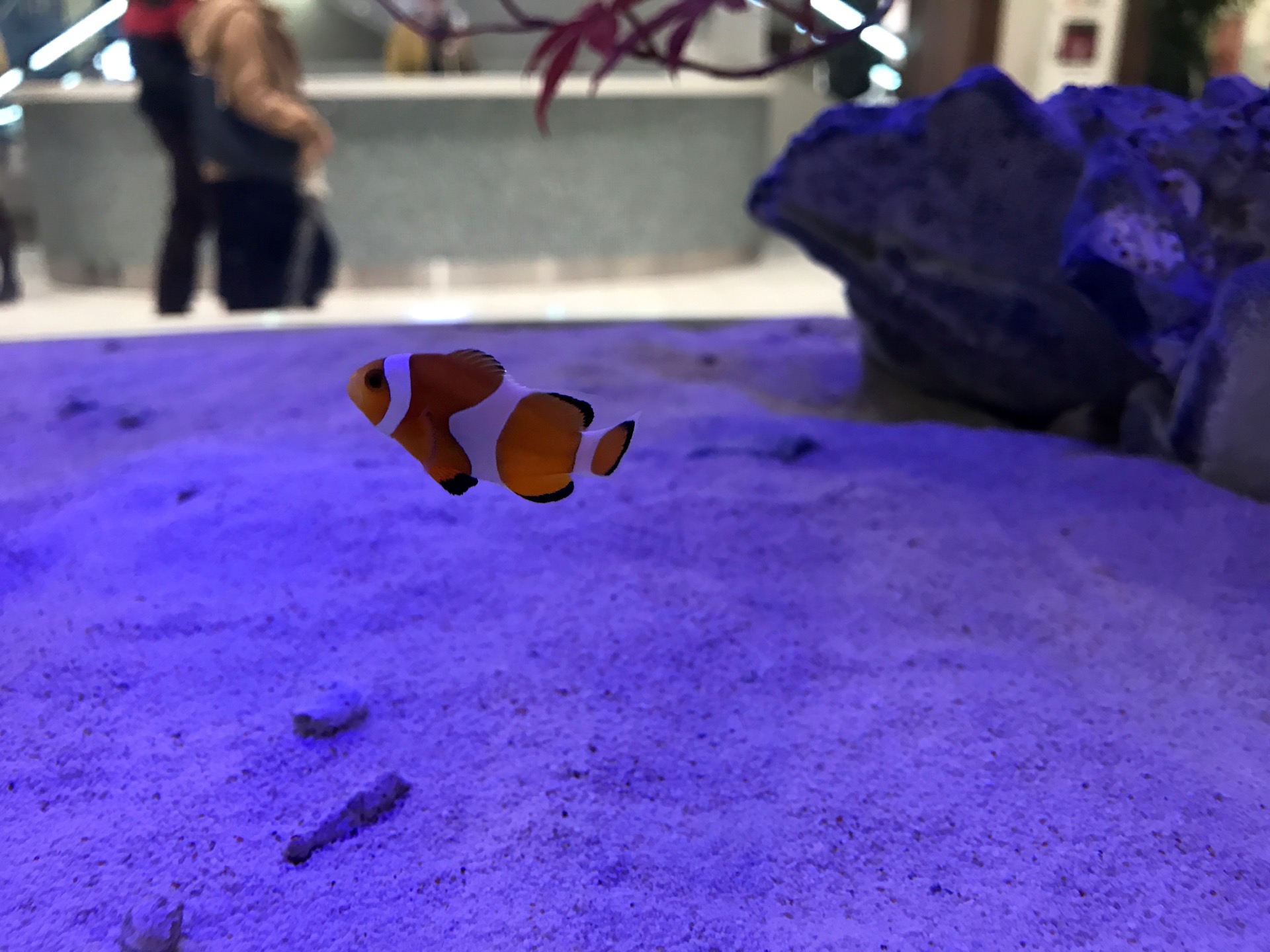 JAPAN-2016-09-13 JAPAN-2016-09-13