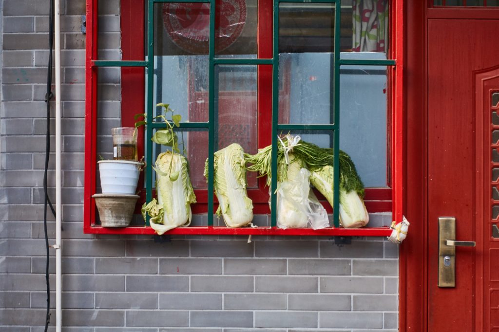 CHINA-2017-01-64 CHINA-2017-01-64