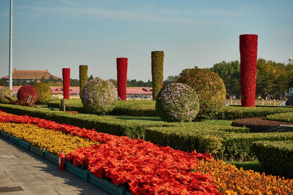 CHINA-2017-02-006 CHINA-2017-02-006