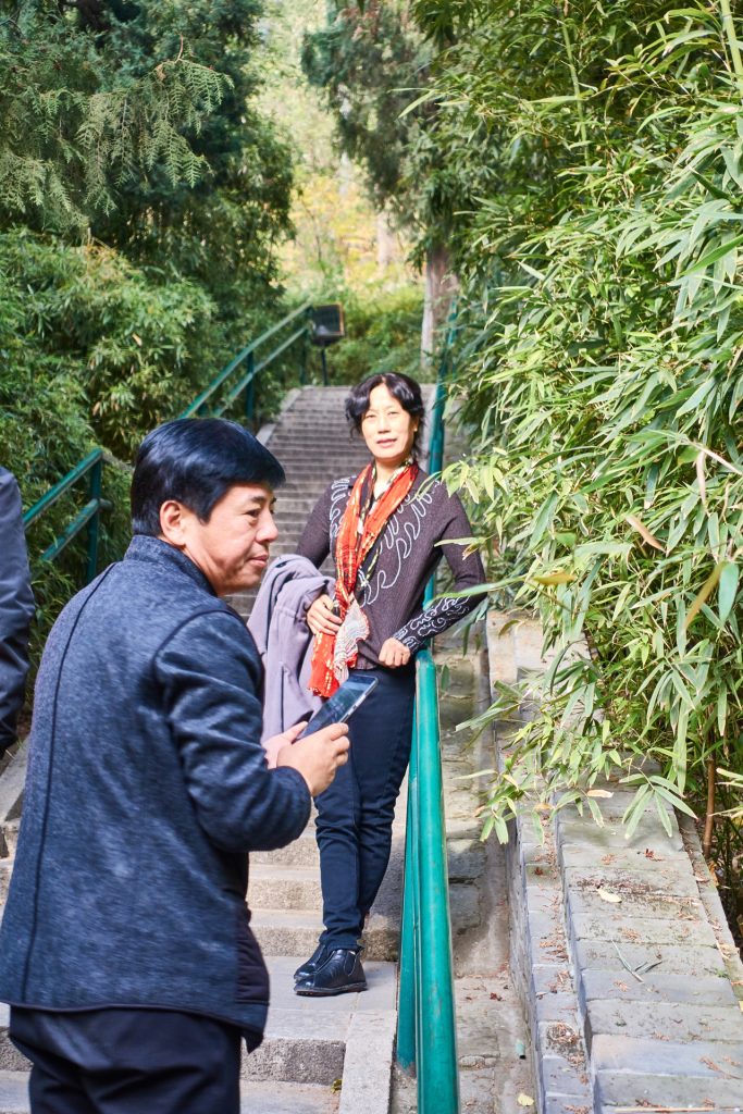 CHINA-2017-02-076 CHINA-2017-02-076