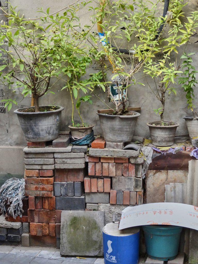 CHINA-2017-02-111 CHINA-2017-02-111