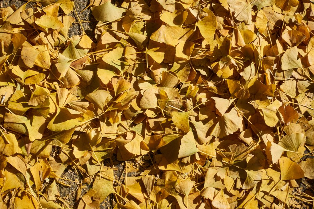 CHINA-2017-03-005 CHINA-2017-03-005