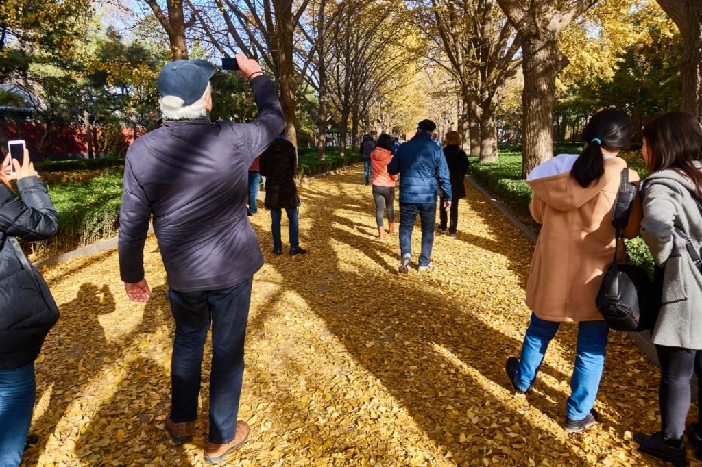 CHINA-2017-03-006 CHINA-2017-03-006