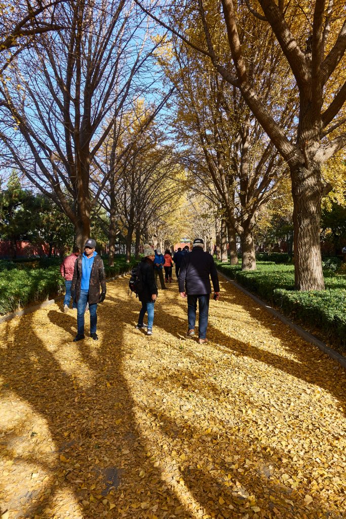 CHINA-2017-03-007 CHINA-2017-03-007