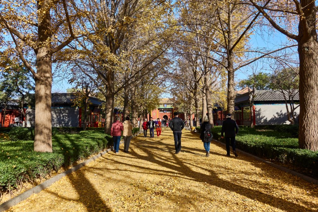 CHINA-2017-03-008 CHINA-2017-03-008