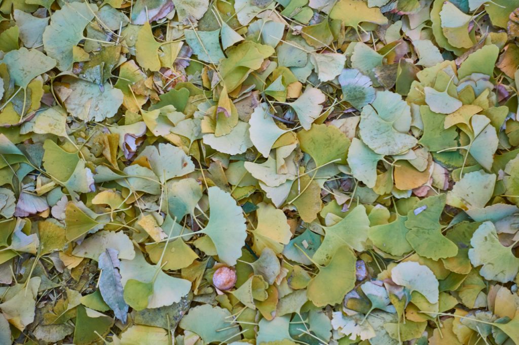 CHINA-2017-03-010 CHINA-2017-03-010