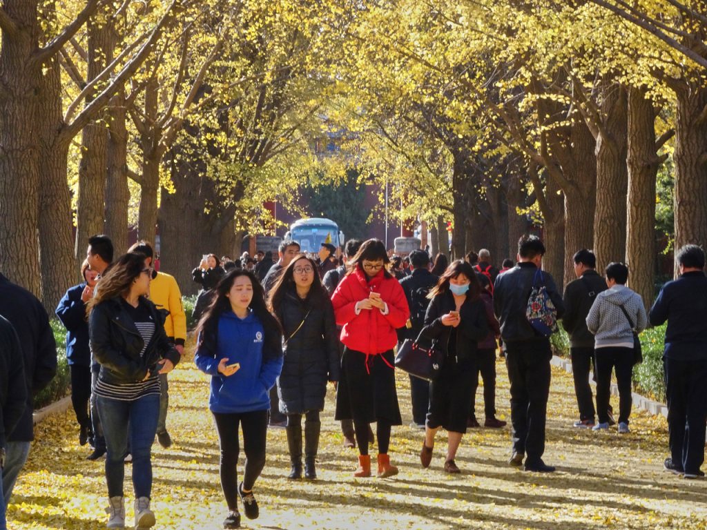 CHINA-2017-03-013 CHINA-2017-03-013