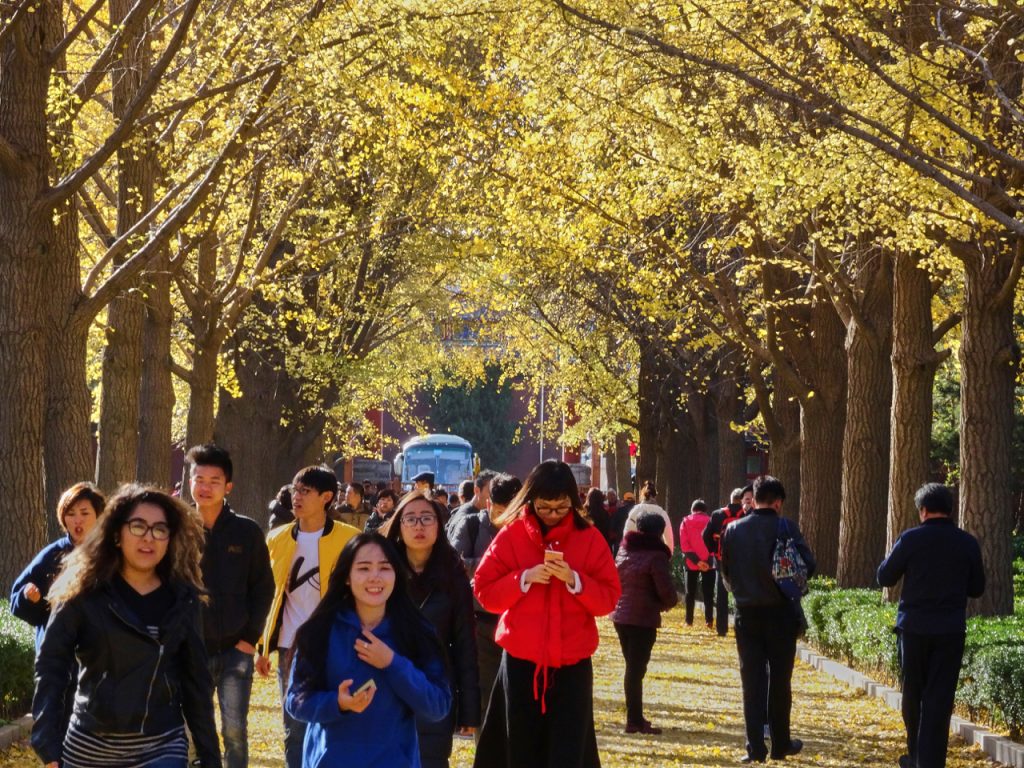 CHINA-2017-03-014 CHINA-2017-03-014