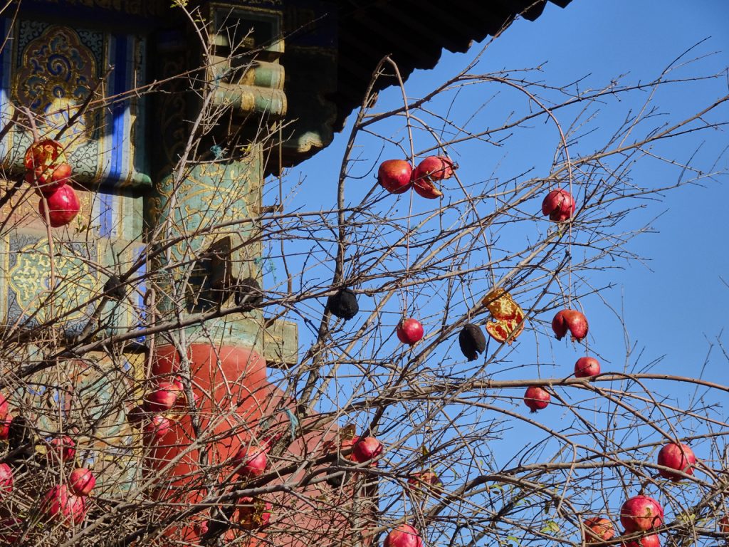 CHINA-2017-03-023 CHINA-2017-03-023