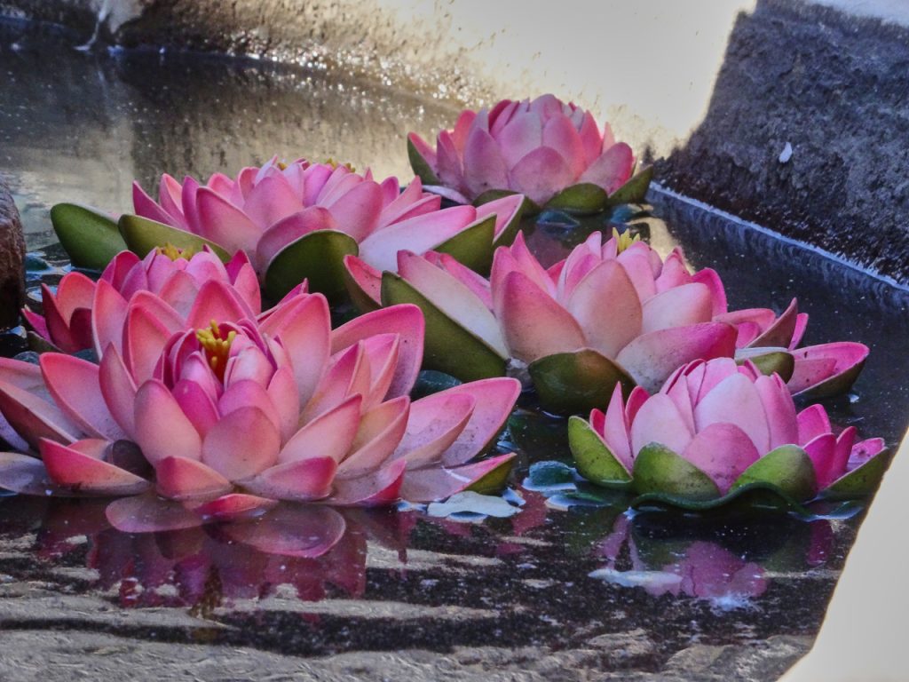 CHINA-2017-03-026 CHINA-2017-03-026