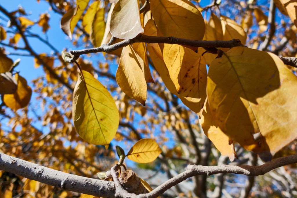 CHINA-2017-04-046 CHINA-2017-04-046