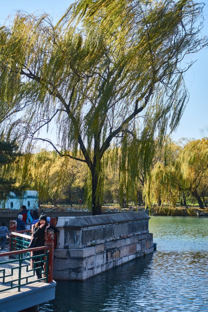 CHINA-2017-04-065 CHINA-2017-04-065