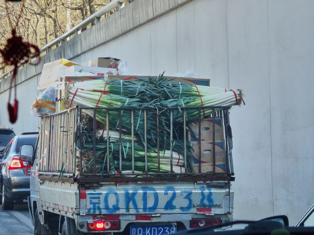 CHINA-2017-04-075 CHINA-2017-04-075