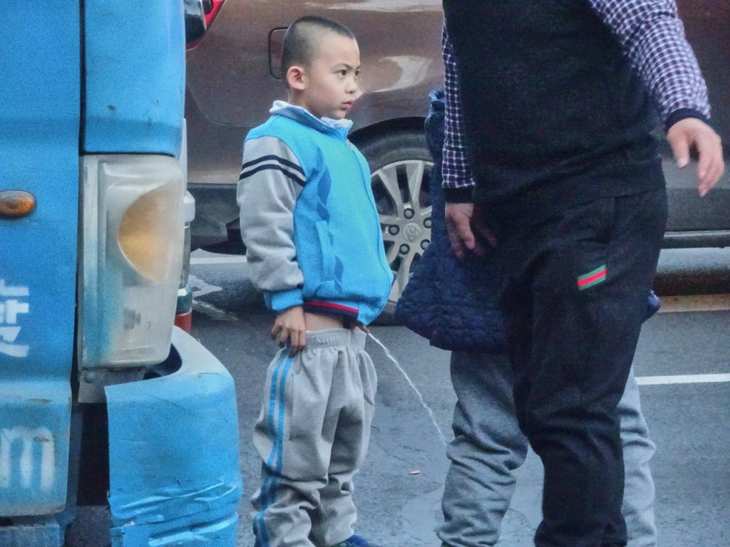 CHINA-2017-04-077 CHINA-2017-04-077