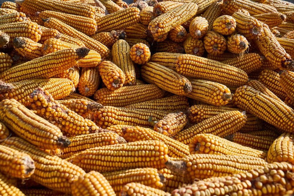 CHINA-2017-06-034 CHINA-2017-06-034