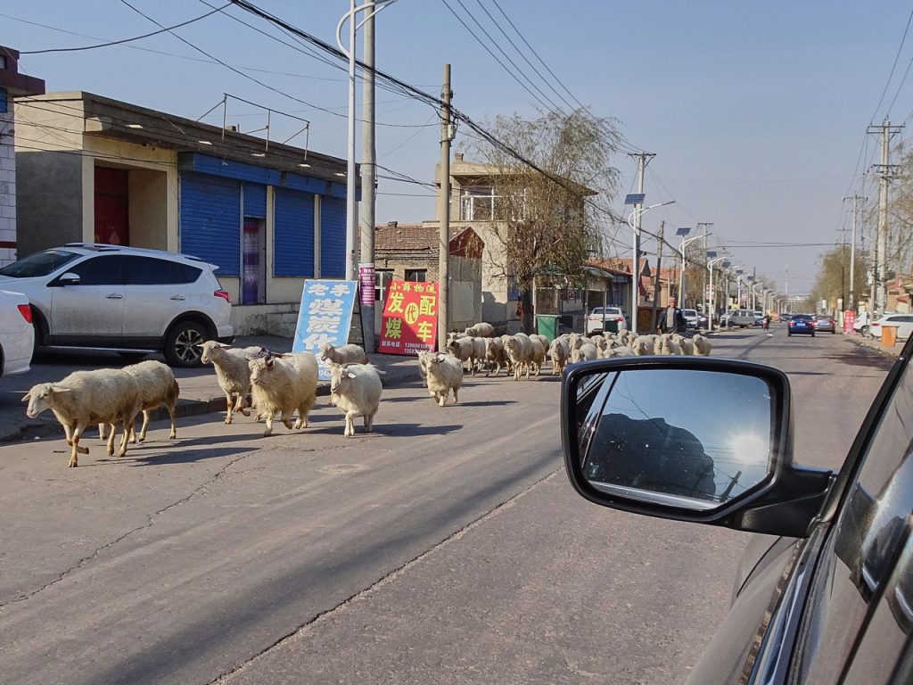 CHINA-2017-06-121 CHINA-2017-06-121