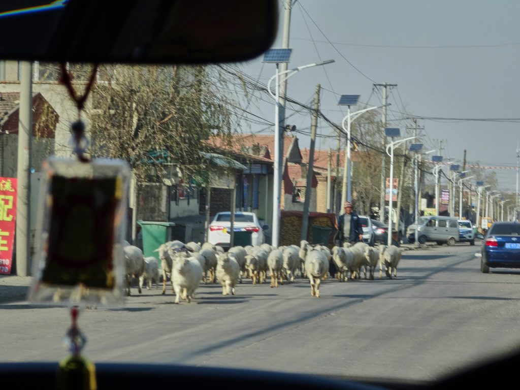 CHINA-2017-06-122 CHINA-2017-06-122
