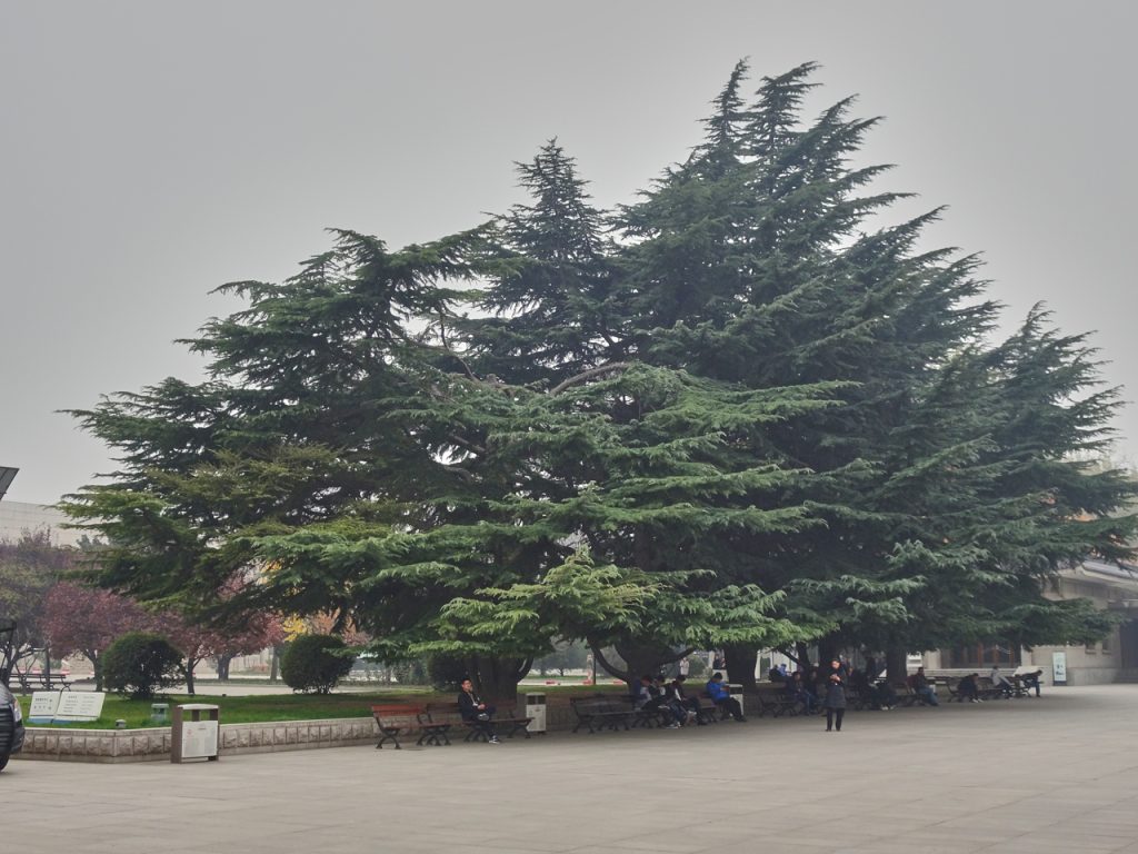 CHINA-2017-07-060 CHINA-2017-07-060