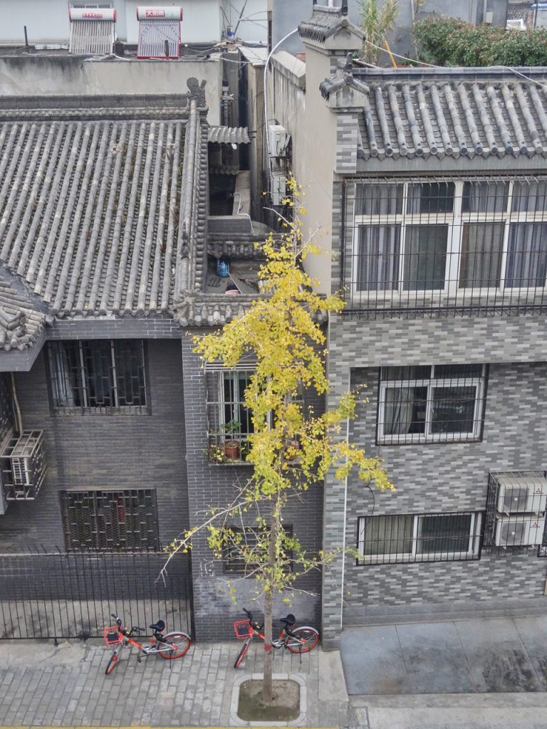 CHINA-2017-07-100 CHINA-2017-07-100