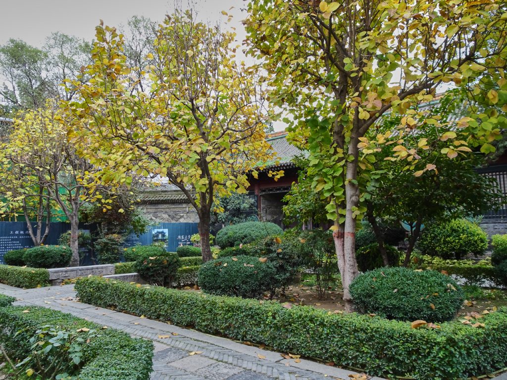 CHINA-2017-08-030 CHINA-2017-08-030