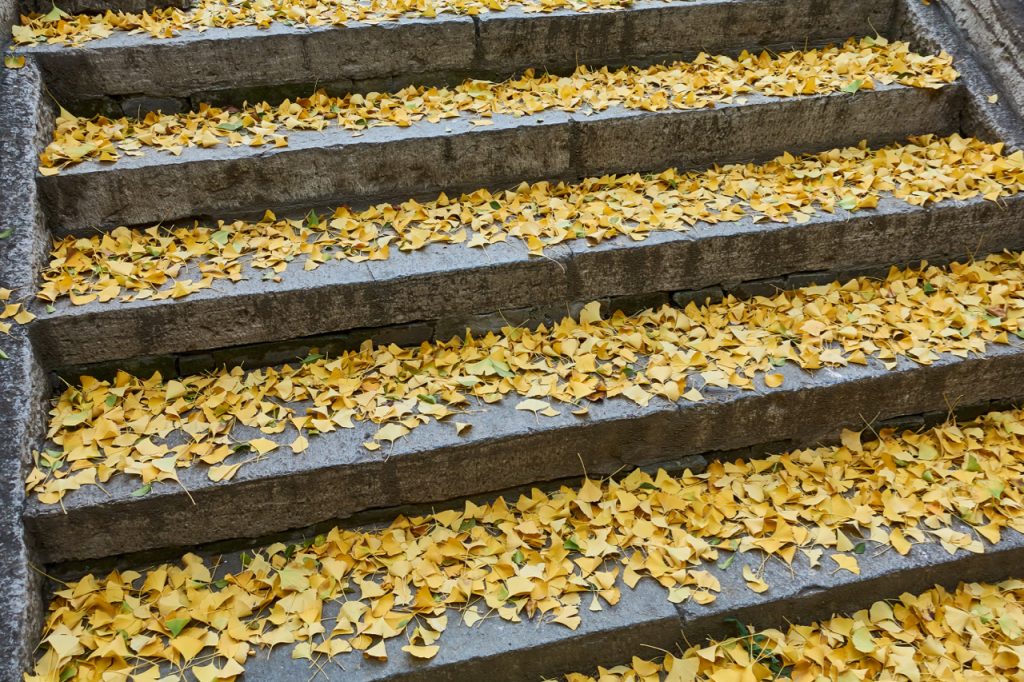 CHINA-2017-08-041 CHINA-2017-08-041