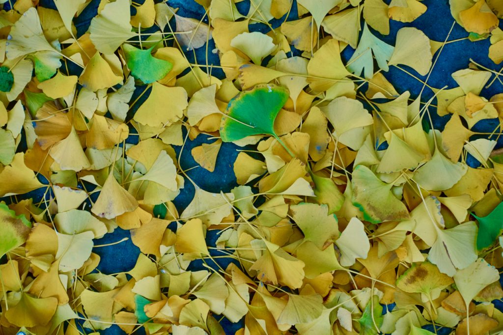 CHINA-2017-08-045 CHINA-2017-08-045