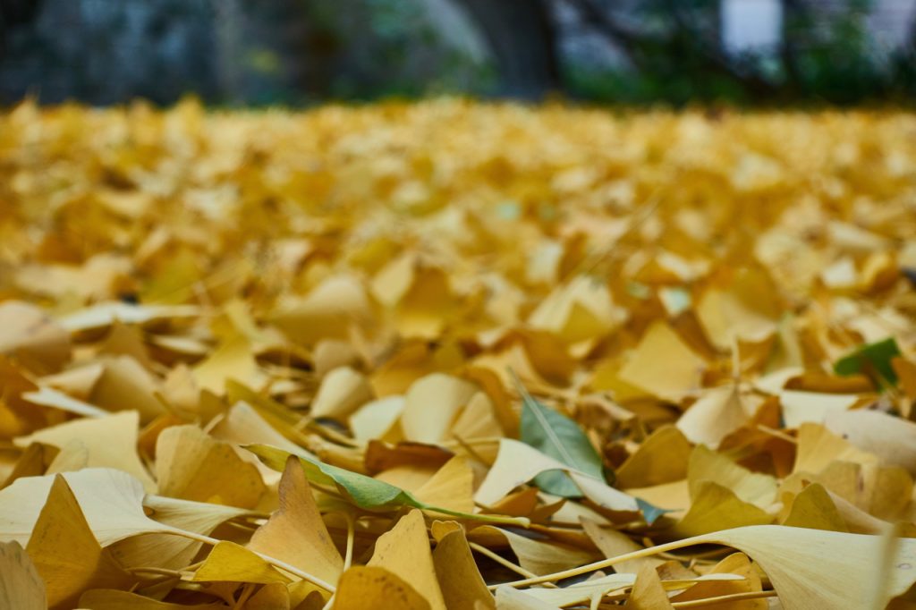 CHINA-2017-08-046 CHINA-2017-08-046