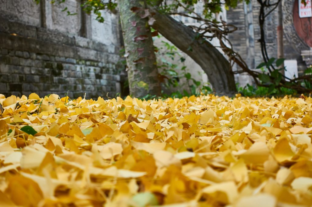 CHINA-2017-08-047 CHINA-2017-08-047