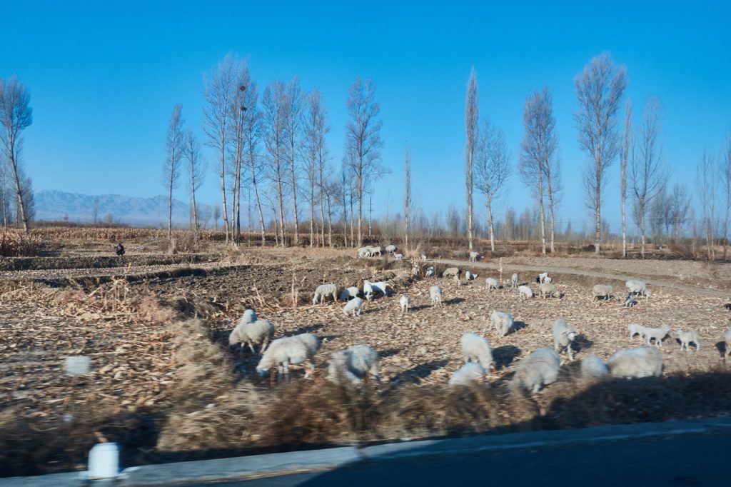 CHINA-2017-09-002 CHINA-2017-09-002