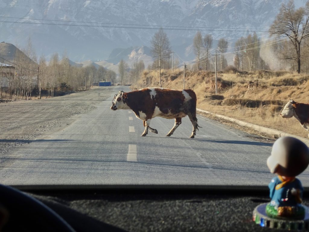 CHINA-2017-09-009 CHINA-2017-09-009