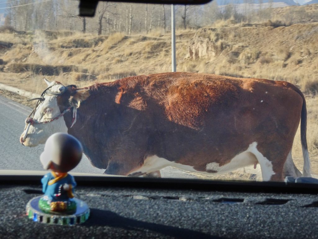 CHINA-2017-09-010 CHINA-2017-09-010