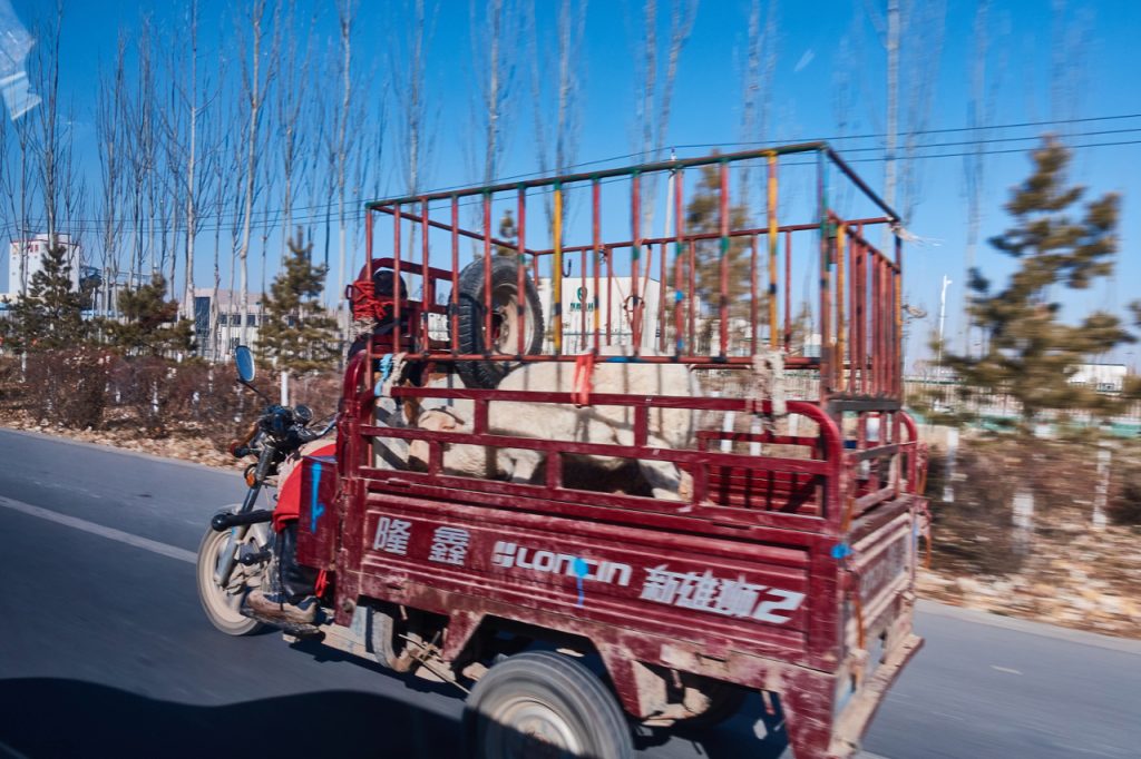 CHINA-2017-09-086 CHINA-2017-09-086