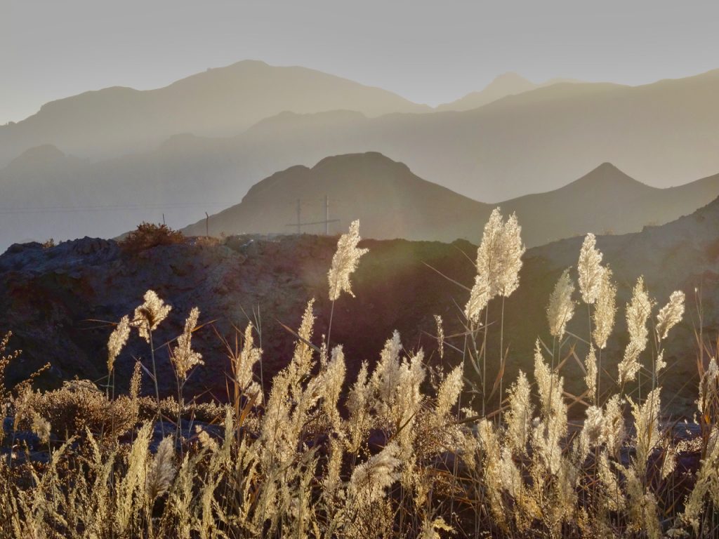 CHINA-2017-09-147 CHINA-2017-09-147