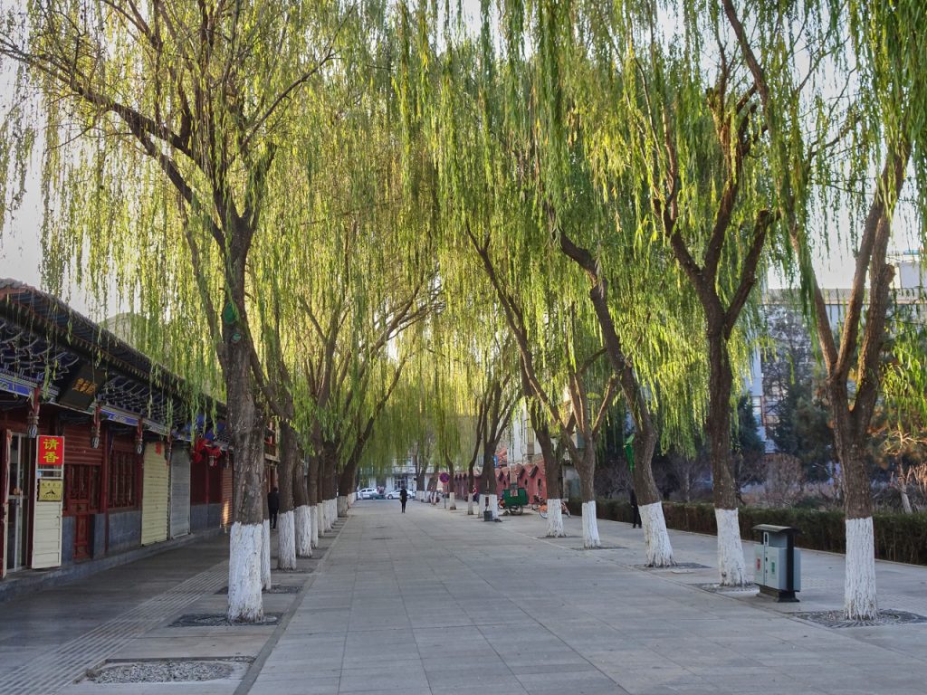 CHINA-2017-10-009 CHINA-2017-10-009