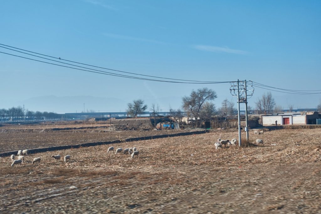 CHINA-2017-10-043 CHINA-2017-10-043