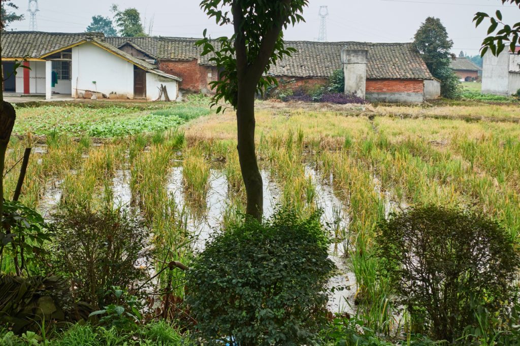 CHINA-2017-11-032 CHINA-2017-11-032