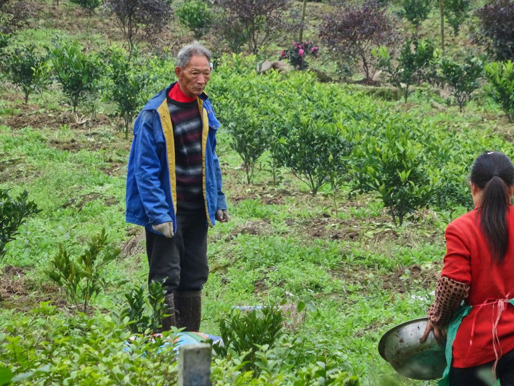 CHINA-2017-11-037 CHINA-2017-11-037