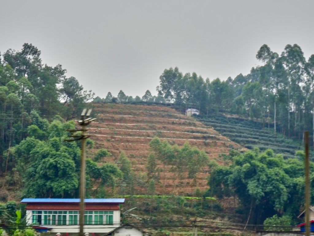 CHINA-2017-11-060 CHINA-2017-11-060