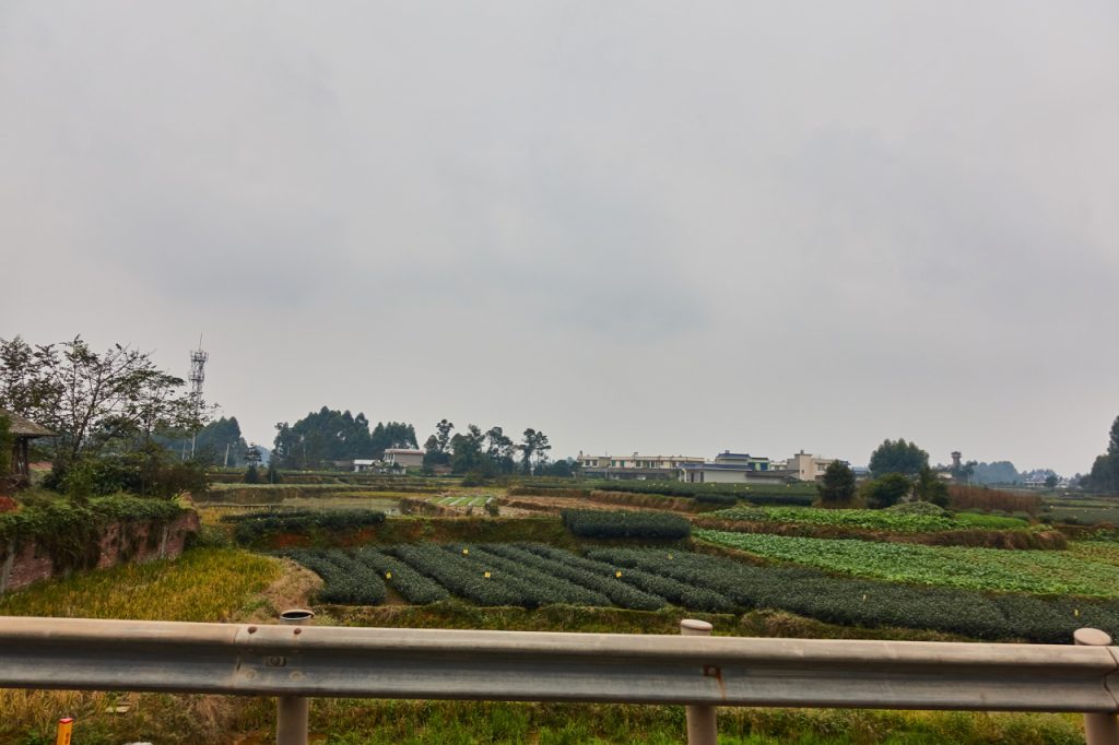 CHINA-2017-11-063 CHINA-2017-11-063
